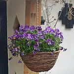 Haus Luise アパート Stapelburg