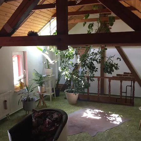 公寓 Haus Luise Stapelburg