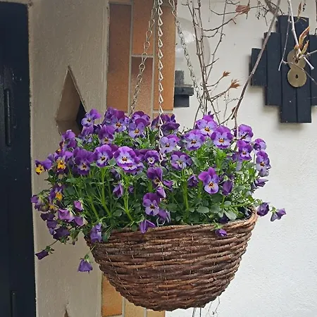Haus Luise Apartment Stapelburg
