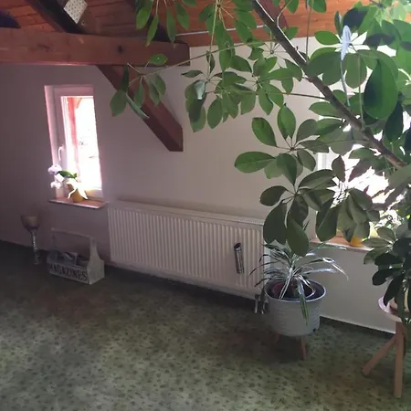 Haus Luise 公寓 Stapelburg