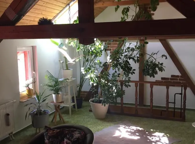 Lägenhet Haus Luise Stapelburg