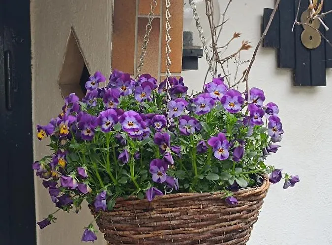 Haus Luise Lejlighed Stapelburg