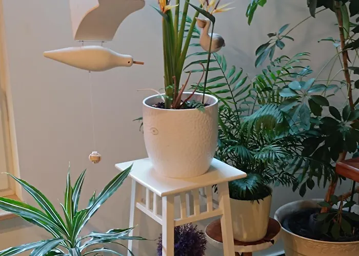 Haus Luise * Stapelburg